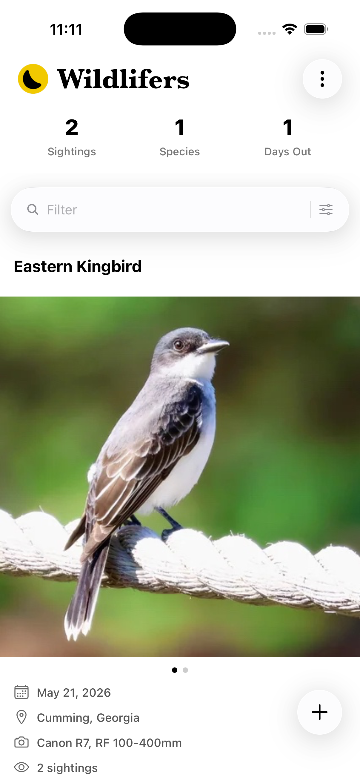 Wildlifers wildlife feed showing an Eastern Kingbird sighting